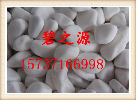 松江生产各种规格鹅卵石、量大从优-- 巩义碧之源净水材料销售有限公司