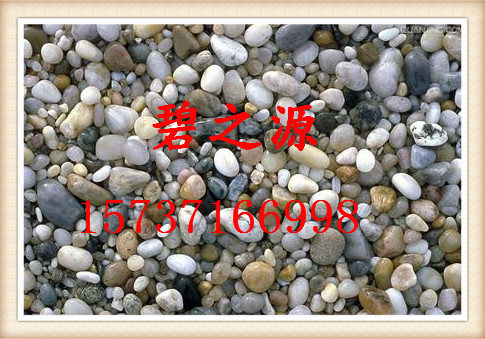 武安生产鹅卵石主要用于绿化等方面、堆积密度-- 巩义市碧之源净水材料销售有限公司