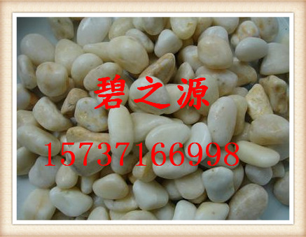 忻州生产鹅卵石鱼缸专用鹅卵石滤料、量大从优-- 巩义市碧之源净水材料销售有限公司
