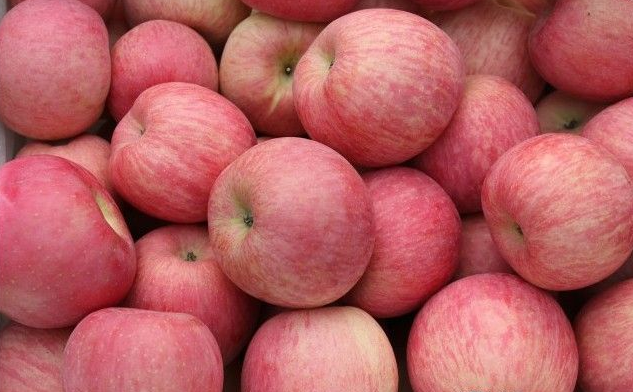 山东红富士苹果价格山东苹果价格-- 山东红富士苹果产地