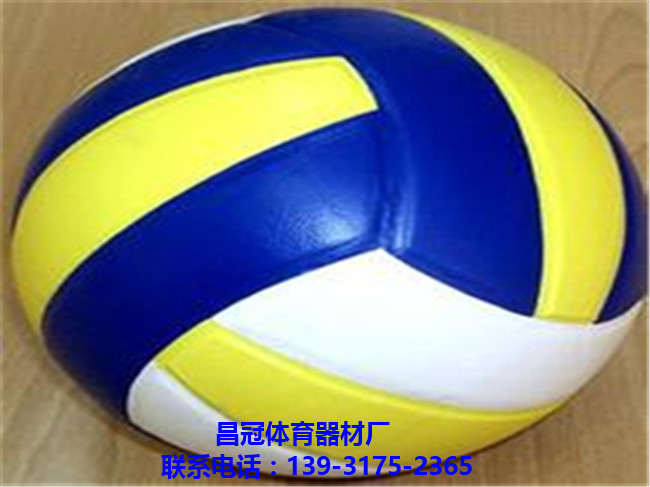 排球 体育用品排球 排球比赛用品 排球用品批发-- 盐山昌冠体育器材厂