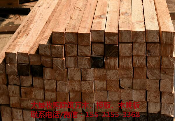 黑龙江工地废旧木方多层板大量收购-- 黑龙江工地废旧木方多层板大量收购
