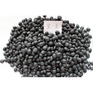 黑豆种子 黑豆种子专业种植基地 黑豆种子批发价格