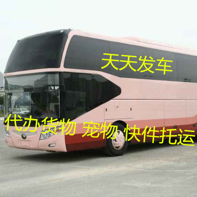 临泉回张家港汽车时刻表131-8668-6892-- 江苏要塞从达客运服务集团有限公司