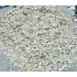 上海鳖甲养殖基地 上海鳖甲批发价格