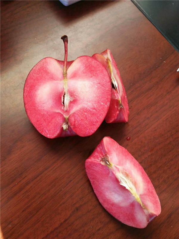 红肉苹果-- 泰安市泰林农业科技有限公司