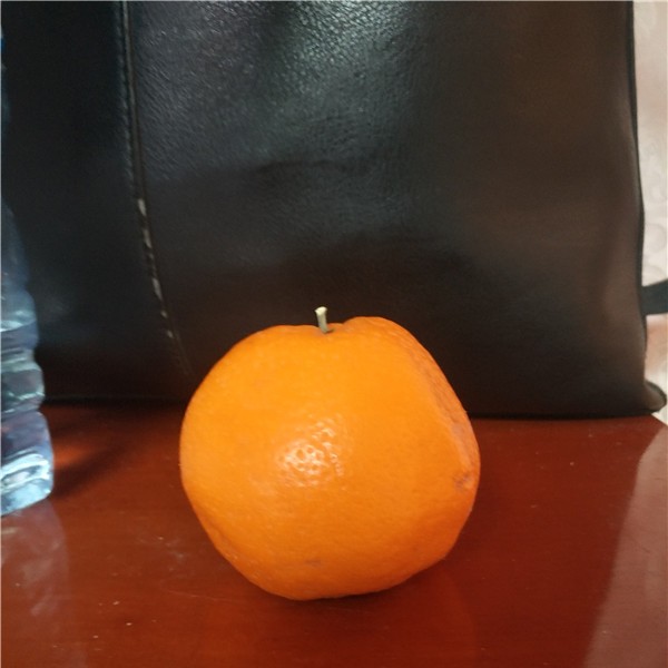 金砂橘-- 荣泰苗木
