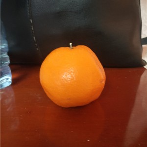 金砂橘