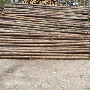 绿化杉木植树杆供应厂家 绿化杉木植树杆批发价格