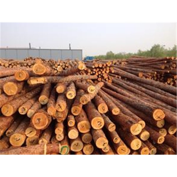 景观木桩-- 杨氏木业