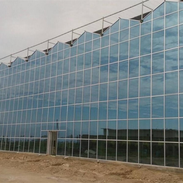 智能玻璃温室大棚-- 智能玻璃温室大棚|钢结构车间厂房