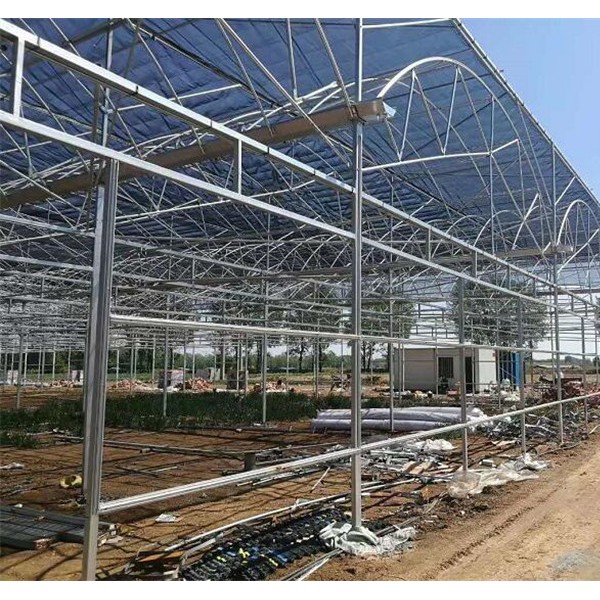 钢结构温室大棚-- 智能玻璃温室大棚|钢结构车间厂房
