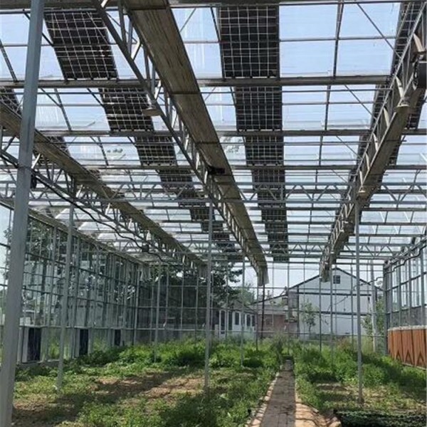 蔬菜种植温室大棚-- 智能玻璃温室大棚|钢结构车间厂房