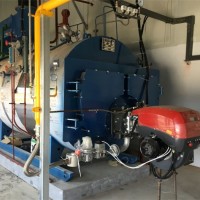 低氮燃气蒸汽锅炉